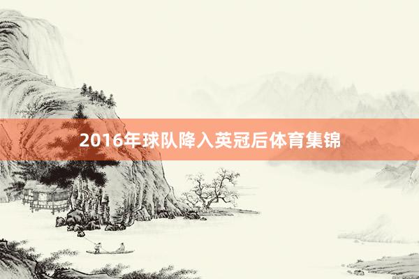 2016年球队降入英冠后体育集锦