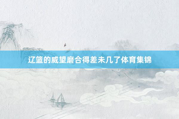 辽篮的威望磨合得差未几了体育集锦