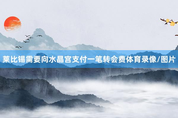 莱比锡需要向水晶宫支付一笔转会费体育录像/图片