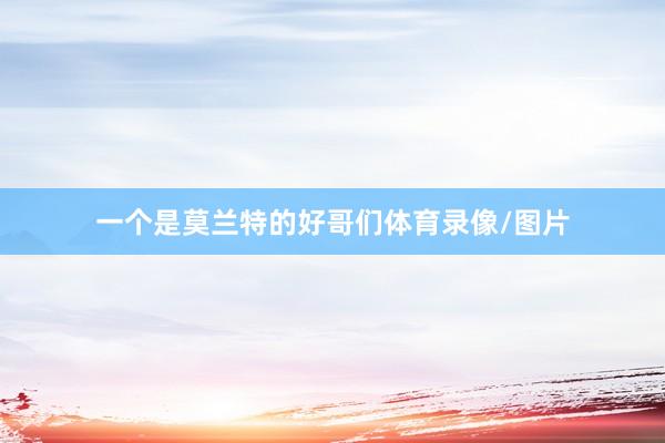 一个是莫兰特的好哥们体育录像/图片
