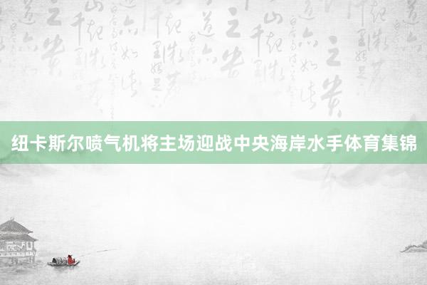 纽卡斯尔喷气机将主场迎战中央海岸水手体育集锦
