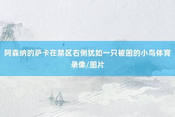 阿森纳的萨卡在禁区右侧犹如一只被困的小鸟体育录像/图片