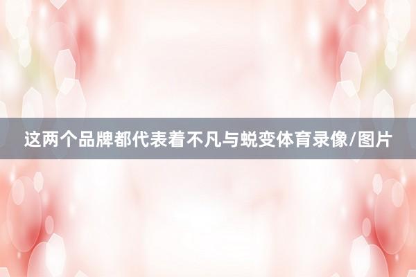 这两个品牌都代表着不凡与蜕变体育录像/图片