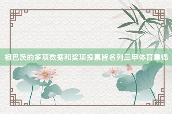 祖巴茨的多项数据和奖项投票皆名列三甲体育集锦