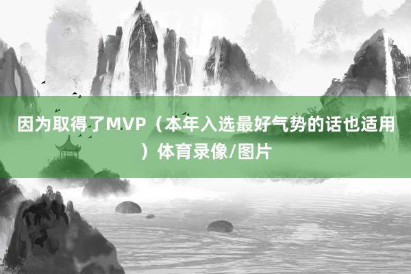因为取得了MVP(本年入选最好气势的话也适用)体育录像/图片