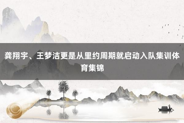 龚翔宇、王梦洁更是从里约周期就启动入队集训体育集锦
