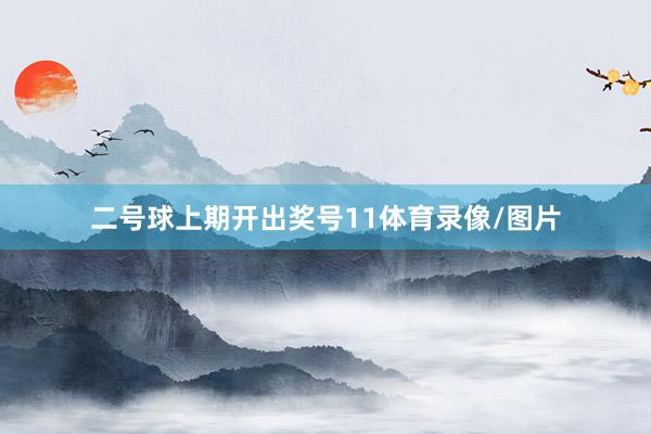 二号球上期开出奖号11体育录像/图片