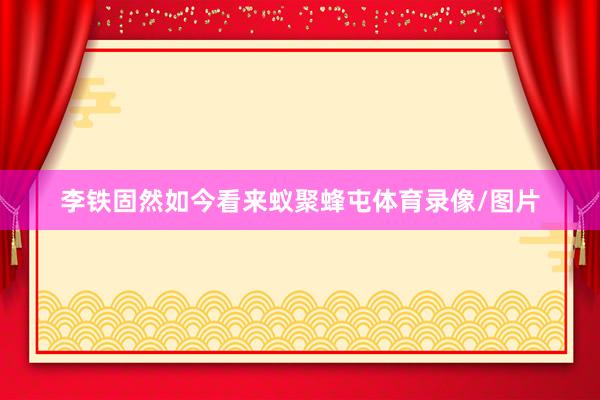 李铁固然如今看来蚁聚蜂屯体育录像/图片