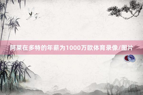 阿莱在多特的年薪为1000万欧体育录像/图片
