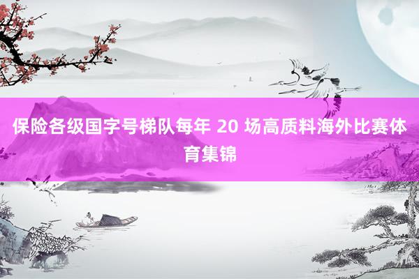 保险各级国字号梯队每年 20 场高质料海外比赛体育集锦