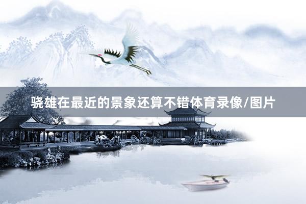 骁雄在最近的景象还算不错体育录像/图片