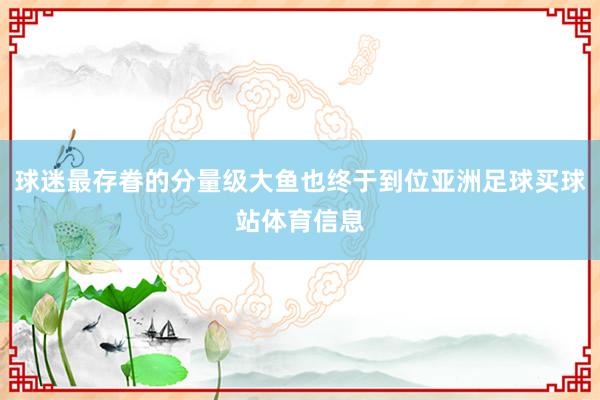 球迷最存眷的分量级大鱼也终于到位亚洲足球买球站体育信息