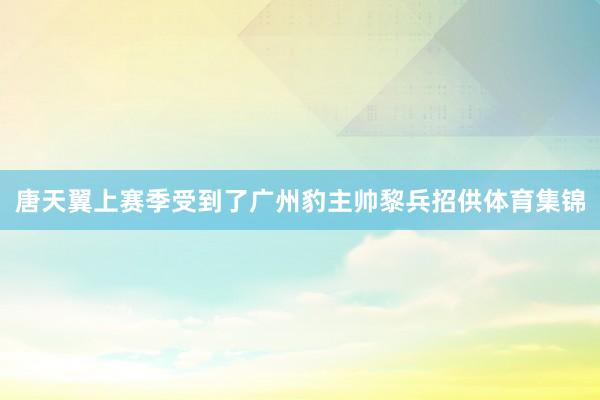 唐天翼上赛季受到了广州豹主帅黎兵招供体育集锦