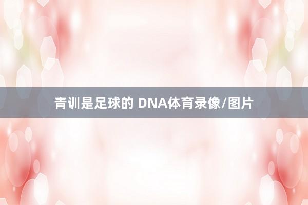 青训是足球的 DNA体育录像/图片