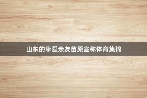 山东的挚爱亲友苗原宣称体育集锦